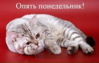 Алла Колісніченко фотография #43 (источник - https://vk.com/id30221513)