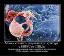 Фотография Михайлова Евгения