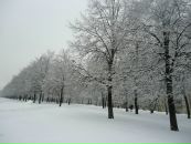 halil elmacıoğlu фотография #31 (источник - https://vk.com/id4118020)