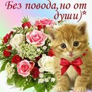 Яна Дзівалківська фотография #41 (источник - https://vk.com/id155561861)