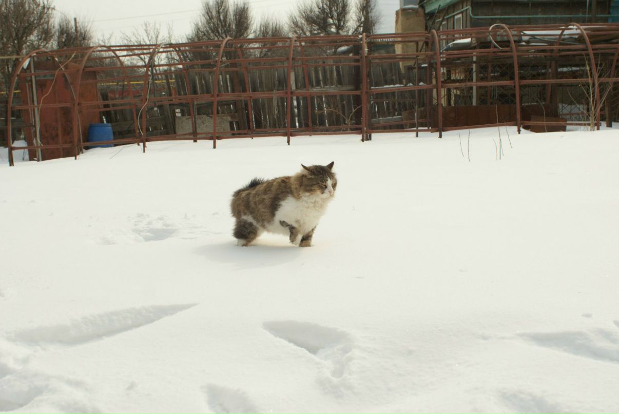 Anton Kasimov фотография #34