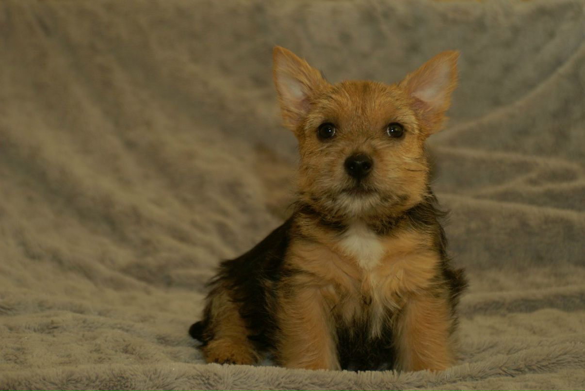 Anton Kasimov фотография #17