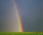 Фотография Щербины Анны