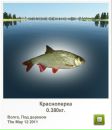 Платон Білинський фотография #36 (источник - https://vk.com/id136798686)