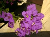 Фотография Вепревой Полины