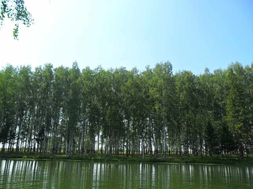 Олег Иванов фотография #21