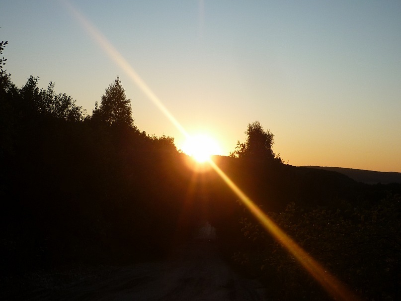 Oleg Bees фотография #18