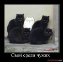 Ігорь Круподеря фотография #14 (источник - https://vk.com/id26804527)