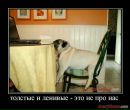 Ігорь Круподеря фотография #13 (источник - https://vk.com/id26804527)