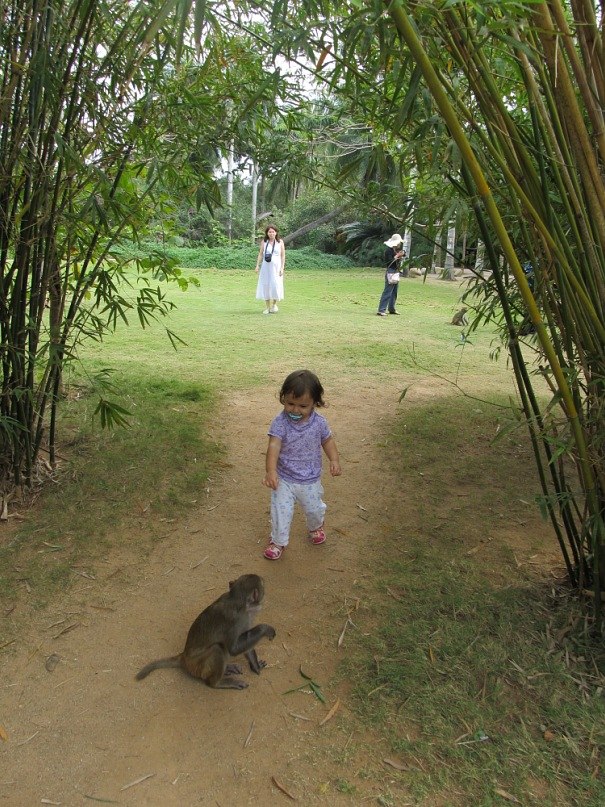 Дмитрий Русаленко фотография #36