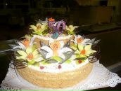 Фотография Стекловой Екатерины