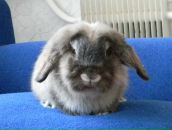 Фотография Щербаковой Елены