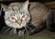 Фотография Агафонова Дмитрия