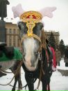 Фотография Сергиенко Татьяны