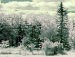 Міша Копанський фотография #39 (источник - https://vk.com/id25378517)