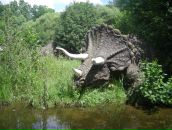 Борис Бедрій фотография #23 (источник - https://vk.com/id70586968)