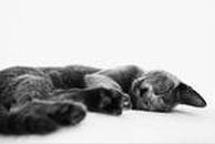 Фотография Головковой Ольки