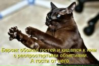 Юрій Рубанік фотография #12 (источник - https://vk.com/id91072730)