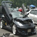 Мішка Фішка фотография #41 (источник - https://vk.com/id164529068)