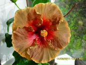 Фотография Кузнецовой Людмилы