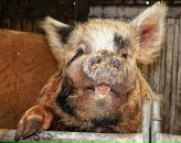 Фотография Быкова Андрея