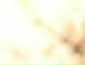 Іринка Мазай фотография #28 (источник - https://vk.com/id36509440)