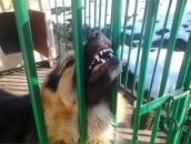 Сергій Бранчук фотография #33 (источник - https://vk.com/id135699134)