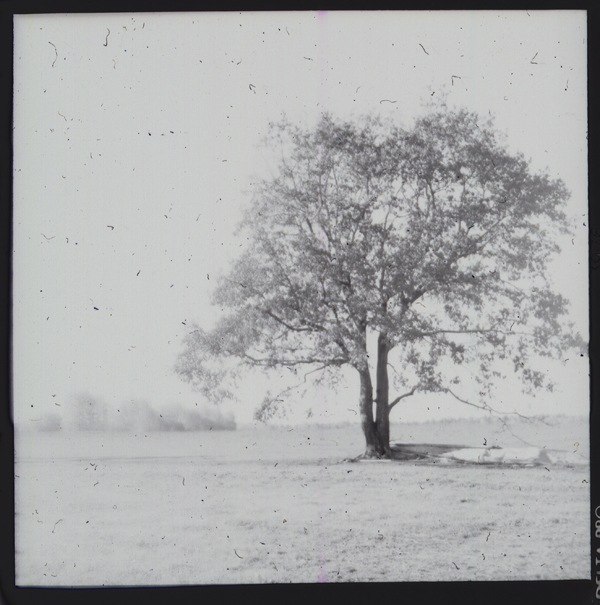 Пётр Абажуров фотография #37