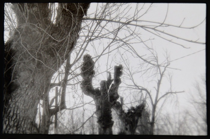 Пётр Абажуров фотография #14