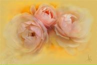 Оля Акимова фотография #50 (источник - https://vk.com/id1571407)