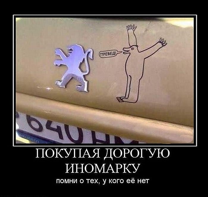Денис Никитин фотография #16