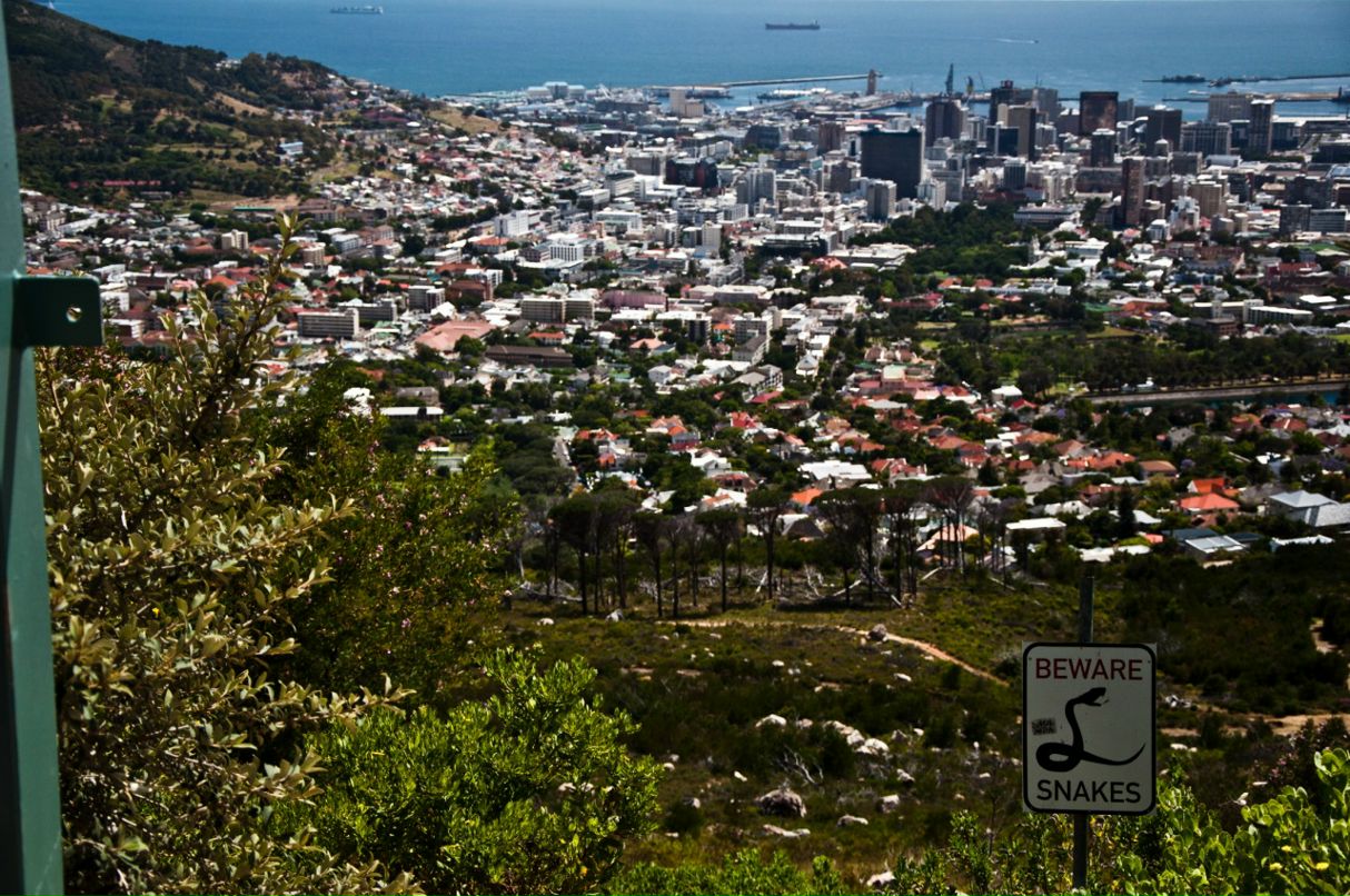 Артем Панченко фотография #27