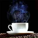 Фотография Токарев Дмитрий