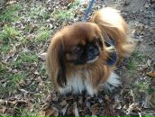 Вікторія Ковач фотография #2 (источник - https://vk.com/id83308164)