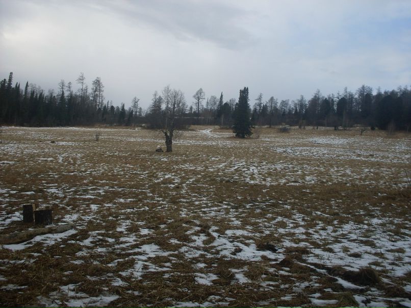 Даниил Железняков фотография #45