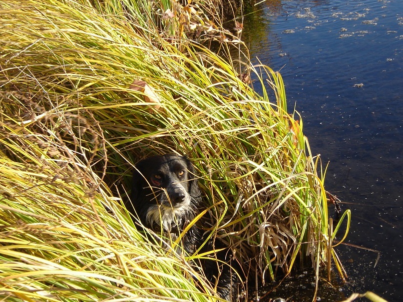 Игорь Донец фотография #50