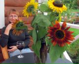 Фотография Ванеевой Натальи