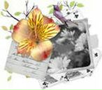 Анна Друмова фотография #12 (источник - https://vk.com/id66208355)