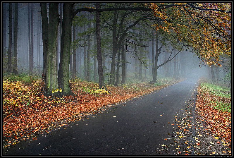 Дмитрий Усов фотография #6