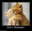 Я... ФоЛныФко=) фотография #1