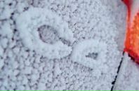 Фотография Жукова Антона