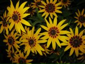 Тетяна Мацібора фотография #45 (источник - https://vk.com/id40878644)