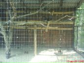 Валерій Резніченко фотография #3 (источник - https://vk.com/id33994160)