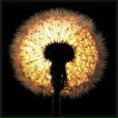 Фотография Васильевой Кристины