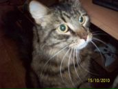 Фотография Либеровой Оксаны