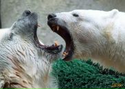 Фотография Ефремова Владислава