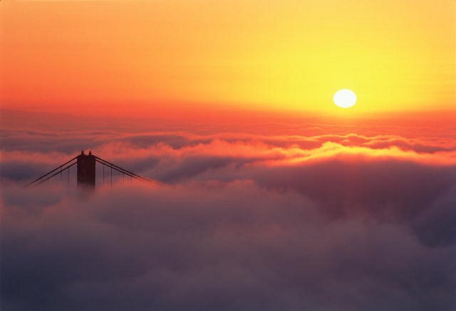 Дмитрий Тушин фотография #32