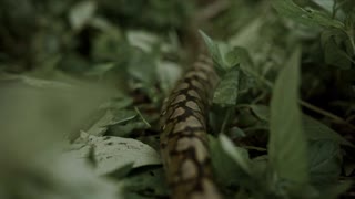 Босс / S01E13 из 13
