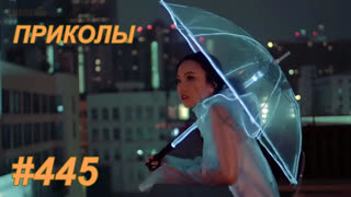 Приколы июнь 2019 №445