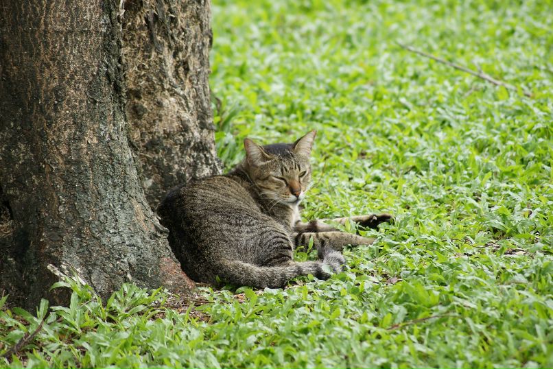 Иван Пешков фотография #33